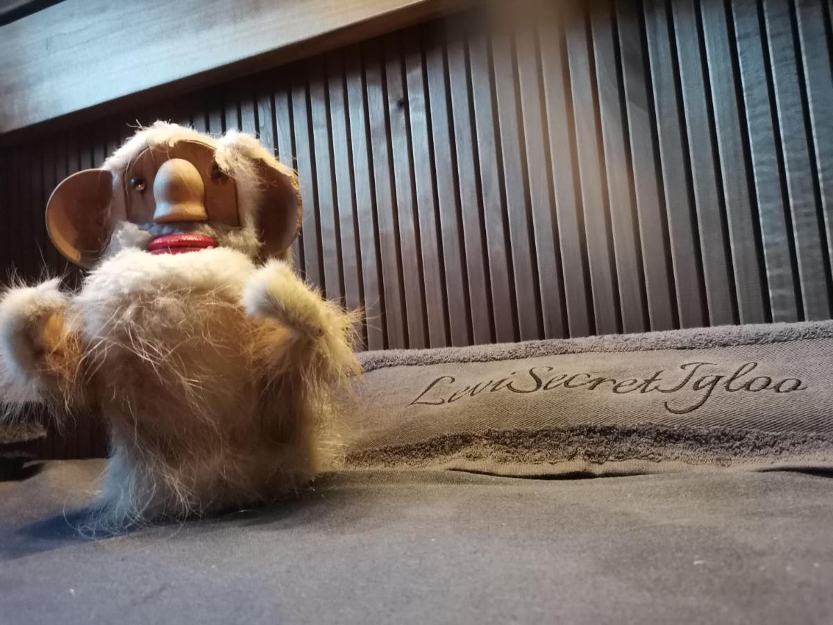 Levi Secret Igloo Revontuli Villa Sirkka Kültér fotó